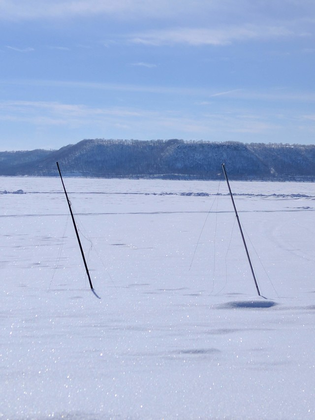 Snowcovered DN's on Lake Pepin next to the Pickle Factory